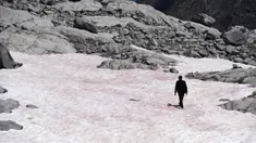 Gambar pada 4 Juli 2020 di gletser Presena dekat Pellizzano, Italia menunjukkan seorang pria berjalan di atas salju berwarna pink atau merah muda. Perubahan warna ini diketahui karena adanya tumbuhan alga di kawasan itu yang membuat warna salju menjadi lebih gelap. (Photo by Miguel MEDINA / AFP)
