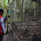 PT Pertamina Geothermal Energi Area Lahendong membangun tempat konservasi monyet hitam yang hanya ada di Sulawesi Utara, Macaca Nigra. (Dok. PGE)