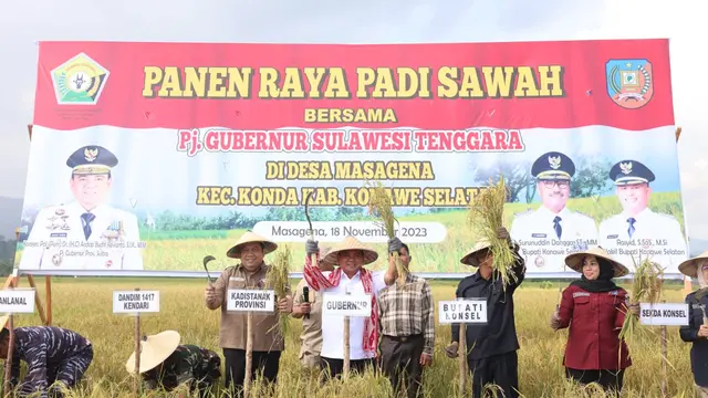 panen raya di Desa Masagena Konawe Selatan.