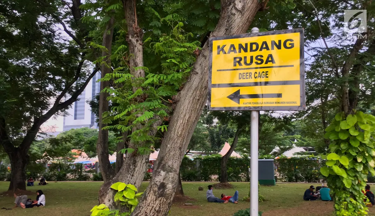 Sejumlah pengunjung tiduran sambil berteduh di bawah pohon di sekitar Taman Monas, Jakarta, Rabu (17/1). Pencabutan pagar Taman Monas mulai berlaku sejak Senin, 8 Januari 2018. (Liputan6.com/Immanuel Antonius)