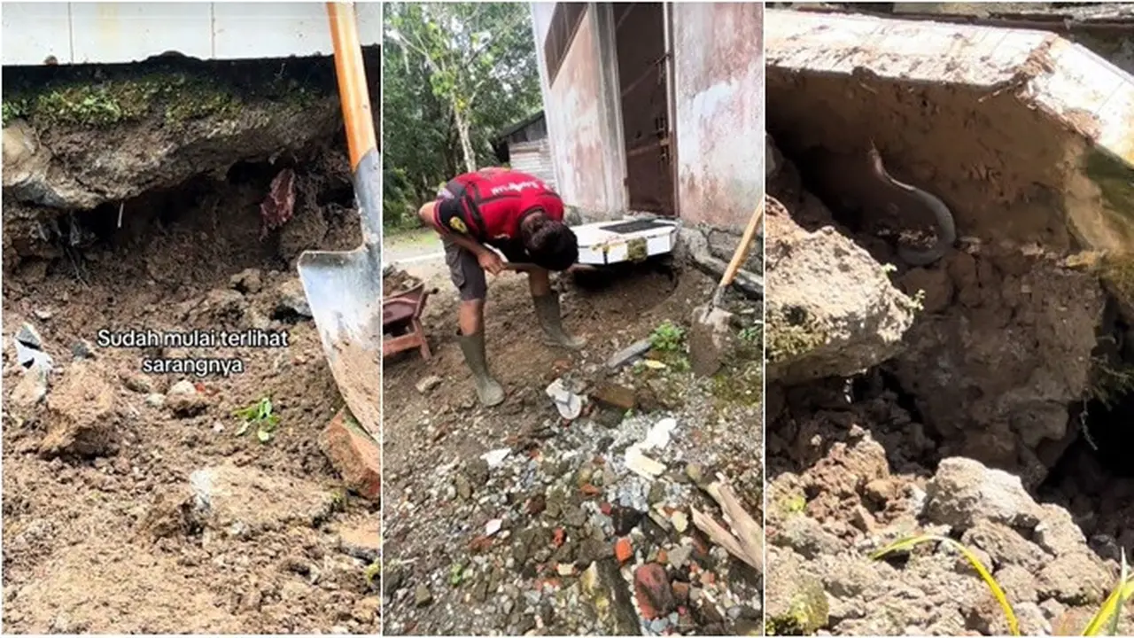 25 Tahun Belum Pernah Dibongkar, Pondasi Rumah Ini Jadi Sarang Ular dan Telurnya