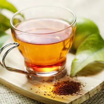 Ilustrasi rooibos tea. (c) livfriis/Depositphotos.com