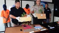 Tim Direktorat Reserse Narkoba Polda Maluku Utara menyita 12 bibit ganja di rumah seorang calon pengacara. (Liputan6.com/Hairil Hiar)