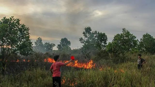 Masyarakat berusaha memadamkan kebakaran hutan dan lahan