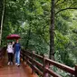 Wisatawan berjalan-jalan di hutan yang berada di kawasan wisata di Kota Zunyi, Provinsi Guizhou, China (7/10/2020). Terkenal karena kekayaan sejarah dan sumber daya alamnya, Kota Zunyi menarik banyak wisatawan selama libur Hari Nasional dan Festival Pertengahan Musim Gugur. (Xinhua/Yang Wenbin)