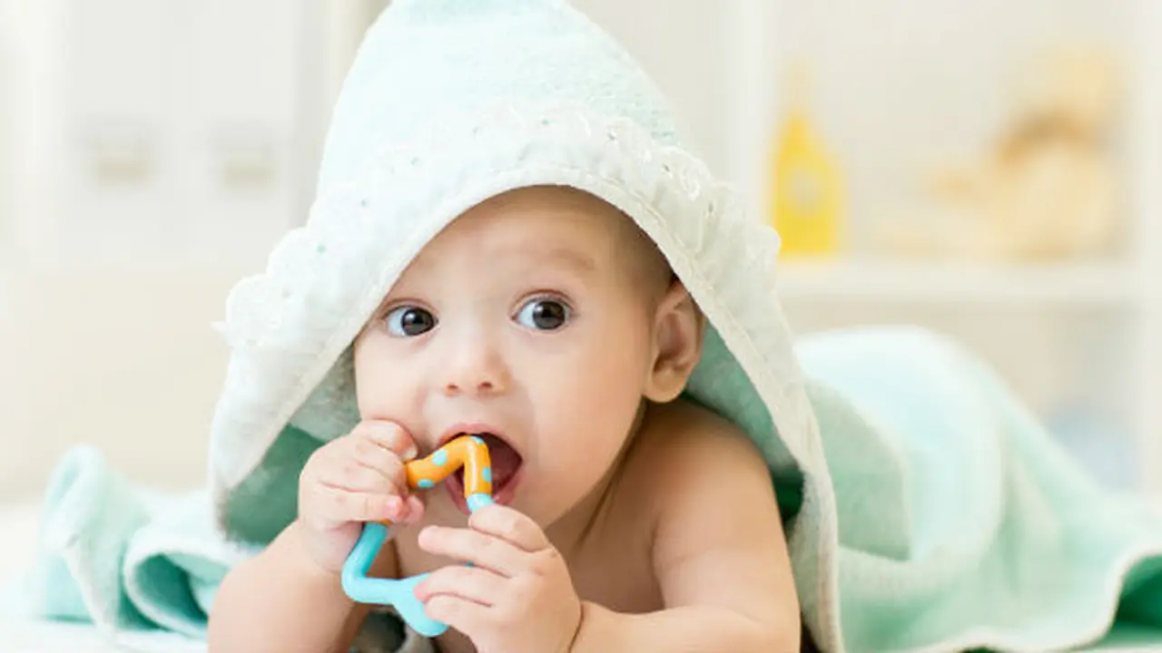 Foto: copyright thinkstockphotos.com