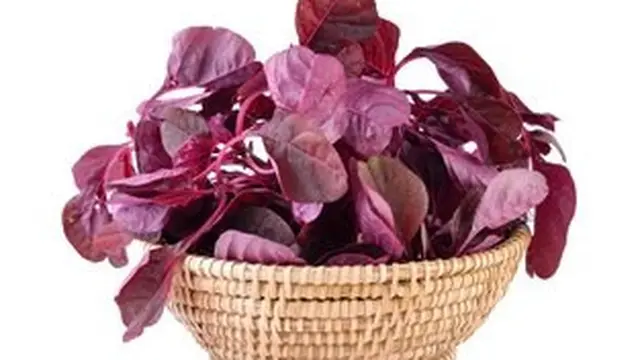 Kandungan Nutrisi dalam Bayam Merah