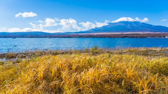 Ilustrasi Swan Lake, Alaska (Liputan6.com/Pixabay)