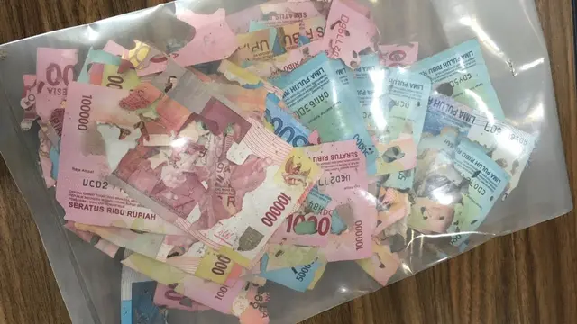 Simpan Uang Di Lemari, Perempuan Ini Temukan Uangnya Dimakan   Rayap