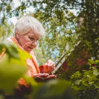 berkebun aktivitas terbaik./copyright. pexels/
&nbsp;