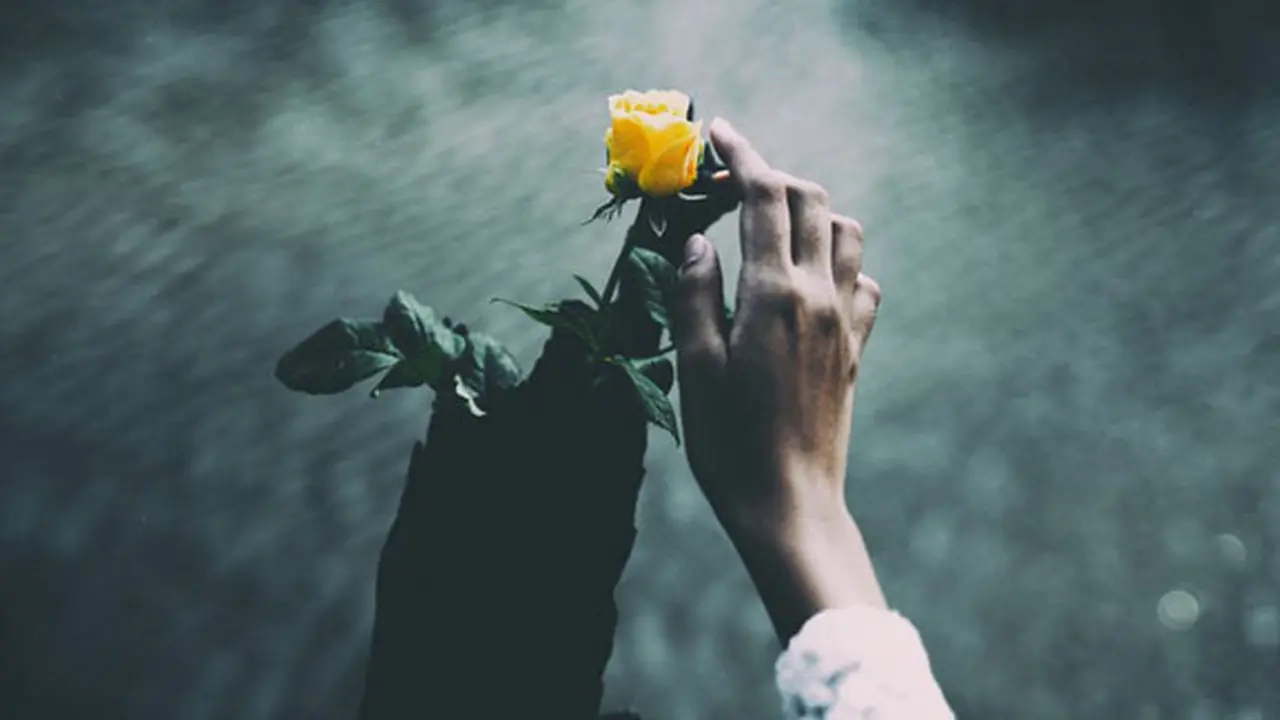Foto: pexels.com