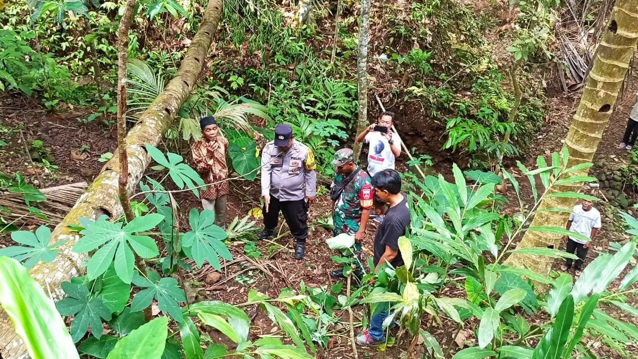 Penderes Kebumen Tewas Jatuh dari Pohon Kelapa