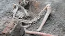 Dua kerangka manusia ditemukan di Taman Arkeologi Pompeii tersebut. (Handout/Parco Archeologico di Pompei press office/AFP)