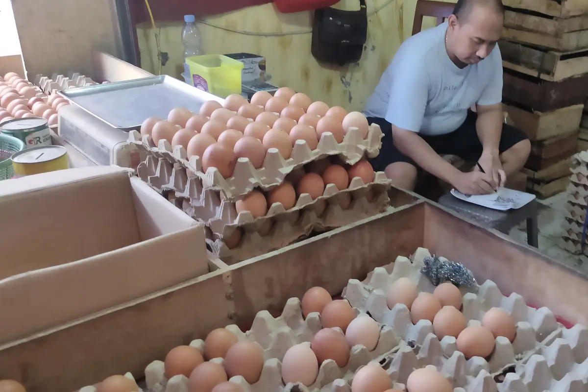 Curhat Pedagang dan Pembeli Imbas Harga Telur Ayam Naik di Cirebon