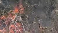 Diduga Akibat Api Puntung Rokok, Hutan di Purworejo Terbakar