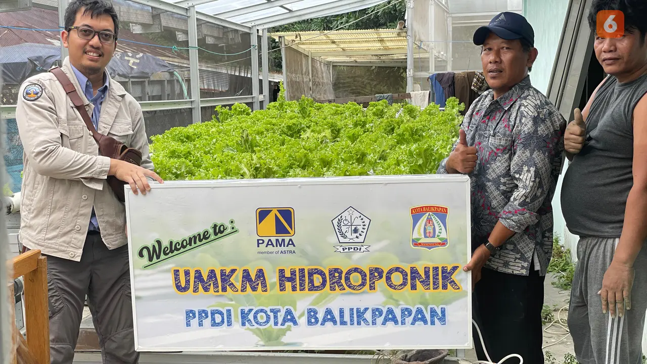Hidroponik