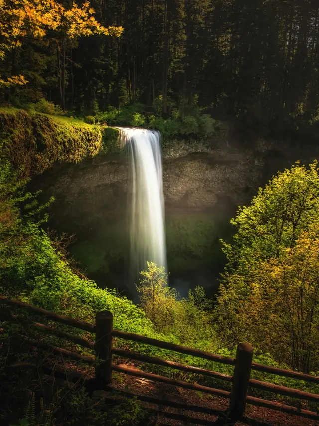 Silver Falls State Park