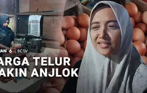 Harga Telur Makin Anjlok