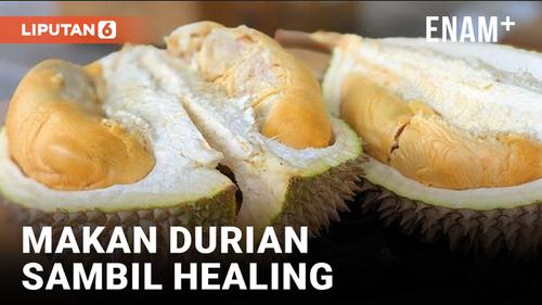 VIDEO: Sensasi Makan Durian Sambil Healing di Kawasan Wisata Bukit Pao