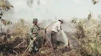 Kebakaran lahan terluas di Riau terjadi di Kabupaten Meranti. Satu-satunya kabupaten yang bebas dari kebakaran adalah Kuantan Singingi. (Liputan6.com/M Syukur)