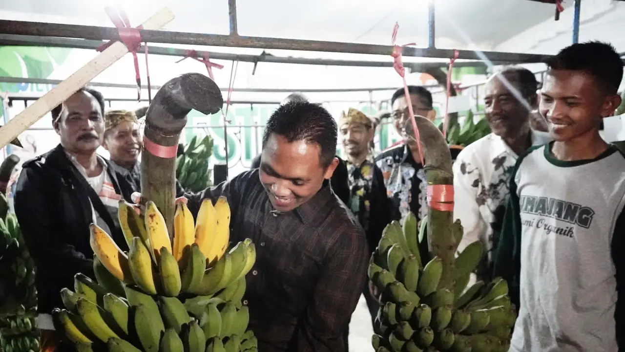 Bupati Lumajang Thoriqul Haq Kenalkan Pisang Pasak Kresek unggulan petani Lumajang (Istimewa)