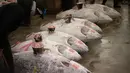 Calon pembeli memeriksa kualitas ikan tuna segar sebelum pelelangan pertama tahun ini di pasar ikan Tsukiji di Tokyo (5/1). Harga tertinggi per kilogram tahun ini adalah $ 1.419 per kilogram. (AP Photo / Eugene Hoshiko)
