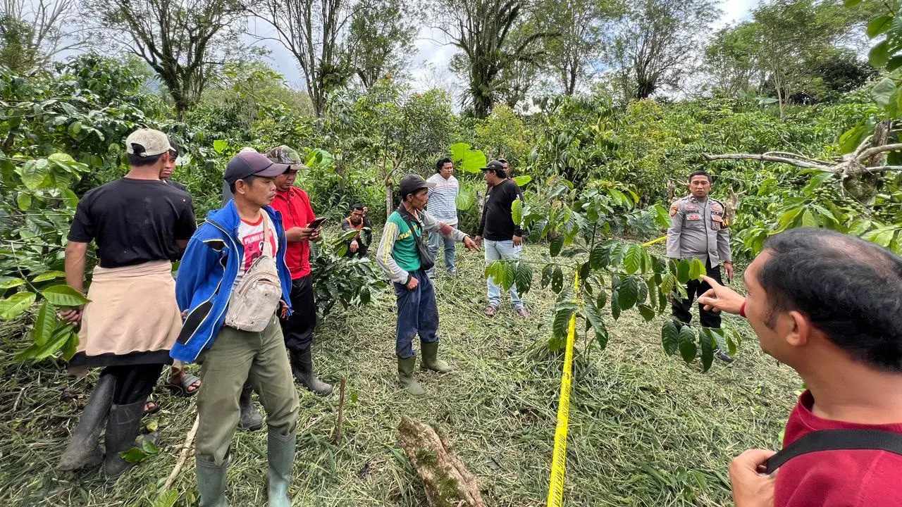 TKP penemuan jasad pemuda dengan kondisi leher nyari putus di kebun kopi miliknya di Lampung Barat, Lampung