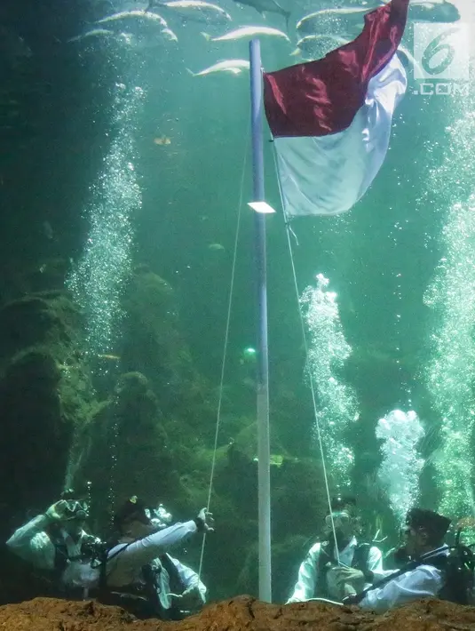 Aaliyah Massaid (kedua kanan) menjalani latihan menjadi Paskibra Jelang HUT ke-74 RI di Aquarium Sea World, Ancol, Jakarta (11/8/2019). Sejak awal mendapat tawaran, penyanyi  17 tahun ini langsung menerima, tanpa terfikir di benak Aaliya untuk menolak tawaran tersebut. (Fimela.com/Bambang E. Ros)