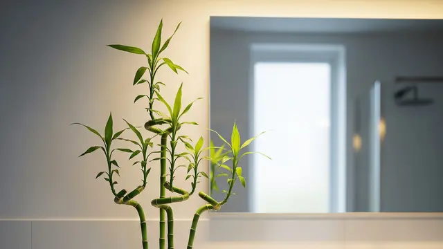 Bambu hias di kamar mandi (Image by Gemini AI)