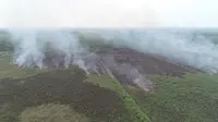 Foto udara areal kebakaran yang terjadi di area konsesi PT Kharisma di Muaro Jambi, Selasa (11/8/2020). (Liputan6.com/istimewa)