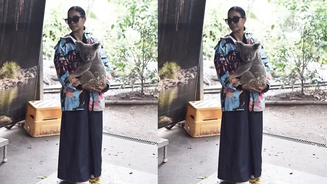 Currumbin Wildlife Sanctuary