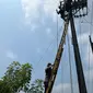 Proses evakuasi jasad teknisi PLN yang tewas tersengat listrik di Kabupaten Lampung Timur diduga lantaran salah memegang kabel. Foto : (Istimewa).