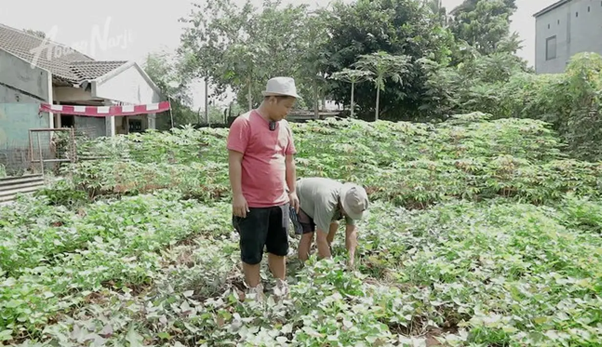 Narji ke sawah (Youtube/Abang Narji)