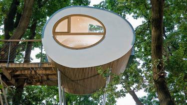 Rumah Pohon Desain Minimalis Modern Bikin Anda Pingin Tinggal