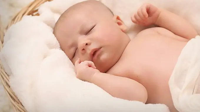 copyright pexels.com/pixabay.com