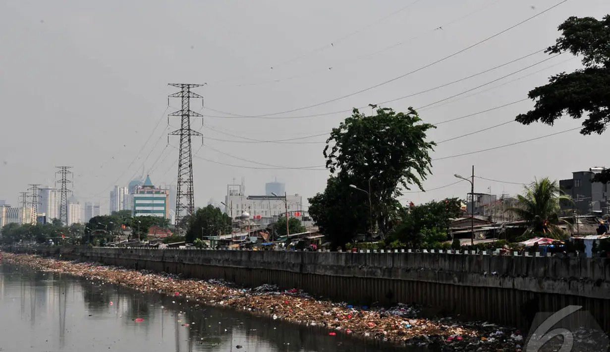 Sampah-sampah yang didominasi barang-barang rumah tangga tampak menutupi keseluruhan sisi kali di wilayah Roxy, Jakarta, Jumat (31/10/14). (Liputan6.com/Johan Tallo)