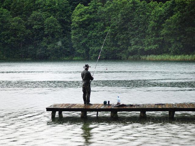 30 Kata Kata Bijak Memancing Bukan Sekadar Aktivitas Membuang Waktu Ragam Bola Com