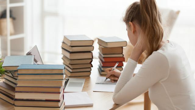 Jenis-jenis Majas dan Contohnya