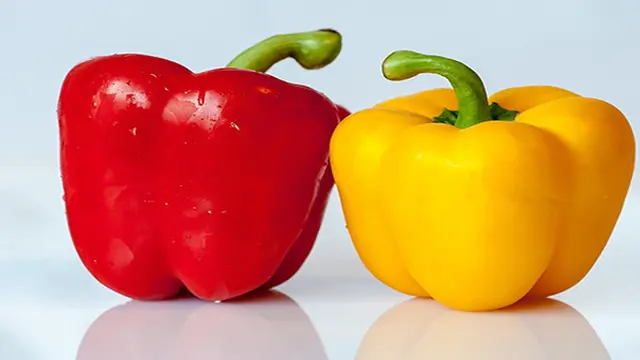Ilustrasi paprika