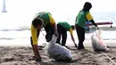 Sejumlah karyawan dari Giant Ekspres Cilacap menggelar acara bersih-bersih Pantai Teluk Penyu, Cilacap, Jumat (10/8). Aksi bersih-bersih pantai bentuk dukungan Giant terhadap penanganan sampah plastik khususnya yang ada di laut.  (Liputan6.com/HO/Eko)