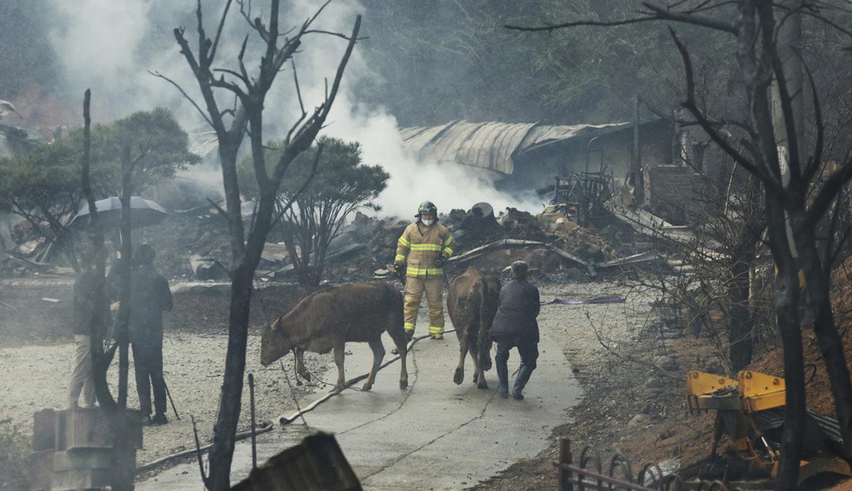 <p>Dinas Kehutanan Korea mengatakan petugas pemadam kebakaran memadamkan sekitar 65 persen api pada pukul 14.10 waktu setempat. Tidak jelas berapa lama waktu yang dibutuhkan mereka untuk mengendalikan api sepenuhnya karena angin kencang membuat sulit untuk mengerahkan pesawat yang menjatuhkan air. (Hong Hae-in/Yonhap via AP)</p>