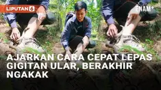 Bagi sebagian orang, gigitan ular membuat panik dan tak sanggup berkutik. Namun seorang pria baru-baru ini viral mengajarkan langkah melepas gigitan ular dengan cepat. Ia hanya membutuhkan satu jari untuk membuat ular melepaskan diri dari gigitan di ...