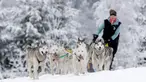 Seorang musher mengendarai kereta luncur anjing tradisional pada lomba Sedivackuv Long di dekat Desa Destne v Orlickych Horach, Republik Ceko, Kamis (23/1/2020). Sedivackuv Long edisi ke-24 tahun ini berlangsung selama lima hari. (AP Photo/Petr David Josek)
