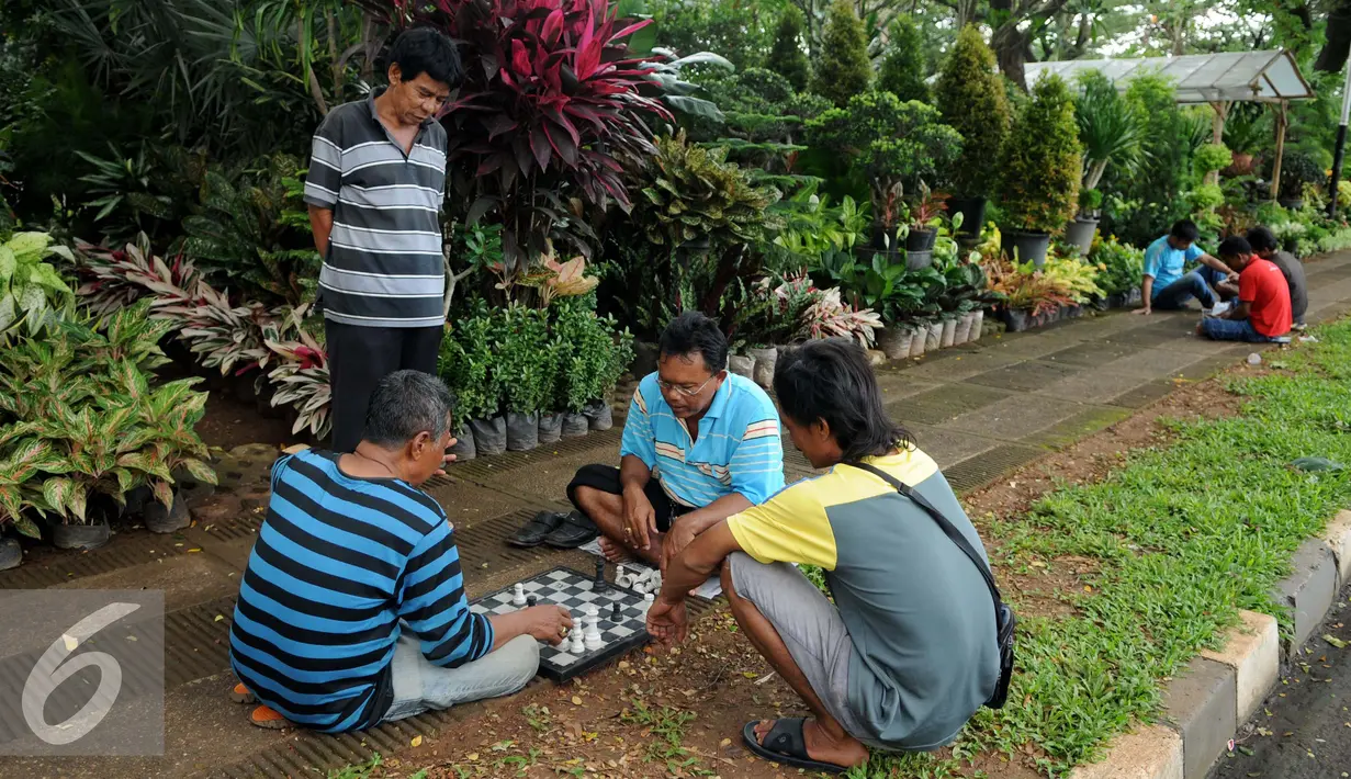 Pedagang tanaman hias bermain catur sambil menunggu pembeli di lokasi penjualan tanaman hias, Kompleks GBK, Jakarta, Rabu (8/2). Pedagang berharap pemerintah dan pengelola bisa mewadahi sarana publikasi mereka. (Liputan6.com/Gempur M. Surya)