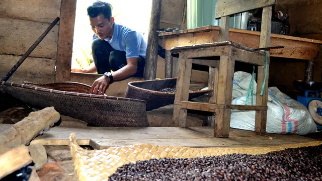 Pagi Di Tanah Hitam Negeri Penghasil Kopi Liberika