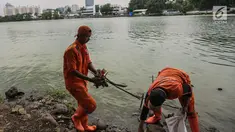 Pasukan oranye mengumpulkan sampah dan daun kering di pinggiran Danau Sunter, Jakarta, Rabu (27/12). Kegiatan bersih-bersih ini dilakukan terkait rencana Pemkot Jakarta Utara menggelar perayaan tahun baru di Danau tersebut. (Liputan6.com/Faizal Fanani)