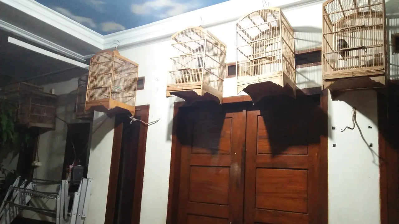 Koleksi burung pendiri sekte Kerajaan Ubur-Ubur