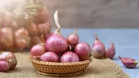 Ilustrasi tips menyimpan bawang./Copyright shutterstock.com/g/Aphirak