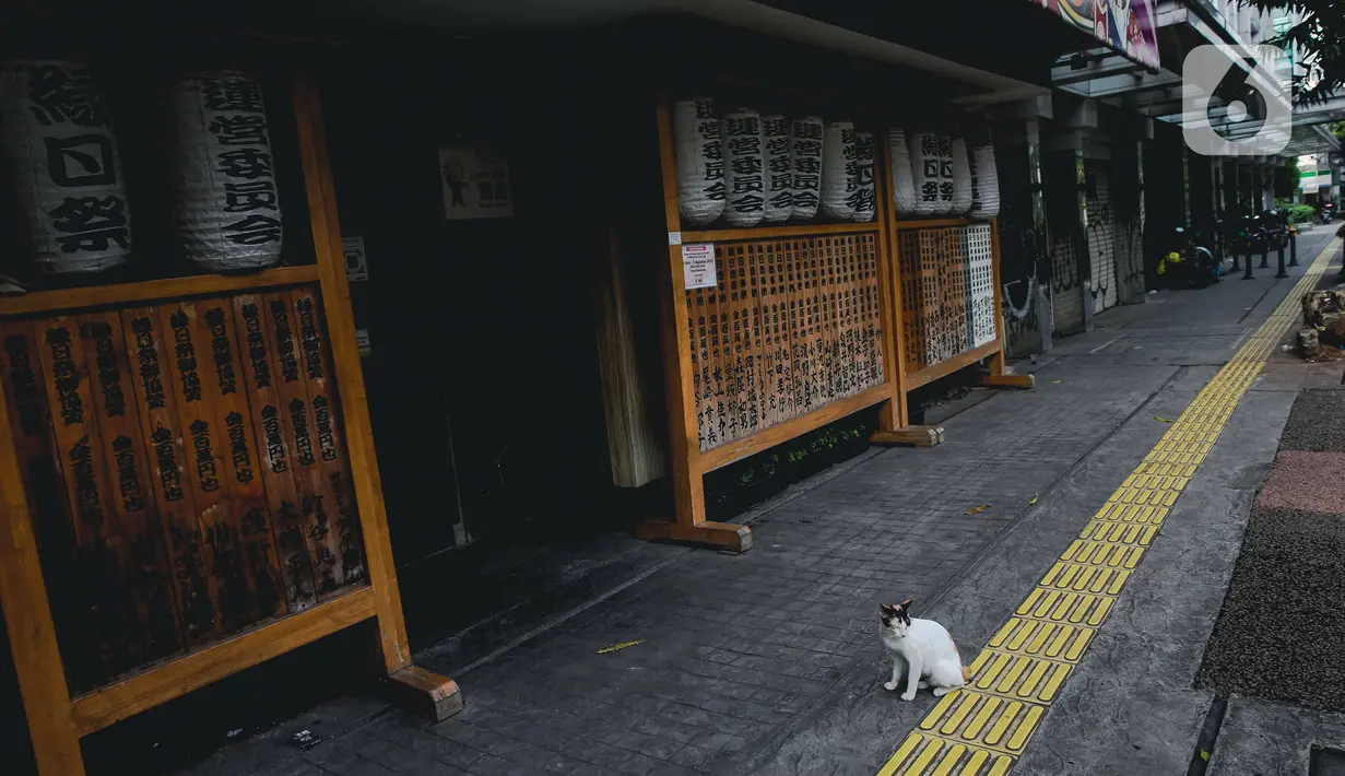 Seekor kucing terlihat di depan restoran yang tutup di kawasan little Tokyo, Blok M, Jakarta, Rabu (21/7/2021). Pemerintah resmi menetapkan pemberlakuan pembatasan kegiatan masyarakat (PPKM) level 4 hingga 25 Juli mendatang untuk mencegah penyebaran virus Covid-19. (Liputan6.comn/Faizal Fanani)