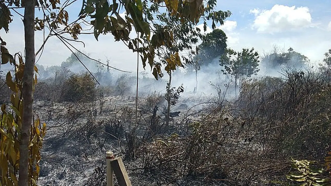 Luas kebakaran hutan dan lahan (karhutla) di Aceh per Januari-Agustus mencapai 379 hektare dengan jumlah 110 kali kejadian (Liputan6.com/Aceh)